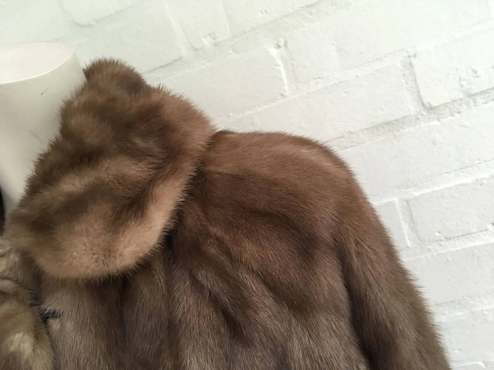 MINK FUR COAT SHORT JACKET $5,000 Size XS S UK 6 - 8 US 2 - 4 Small Ladies