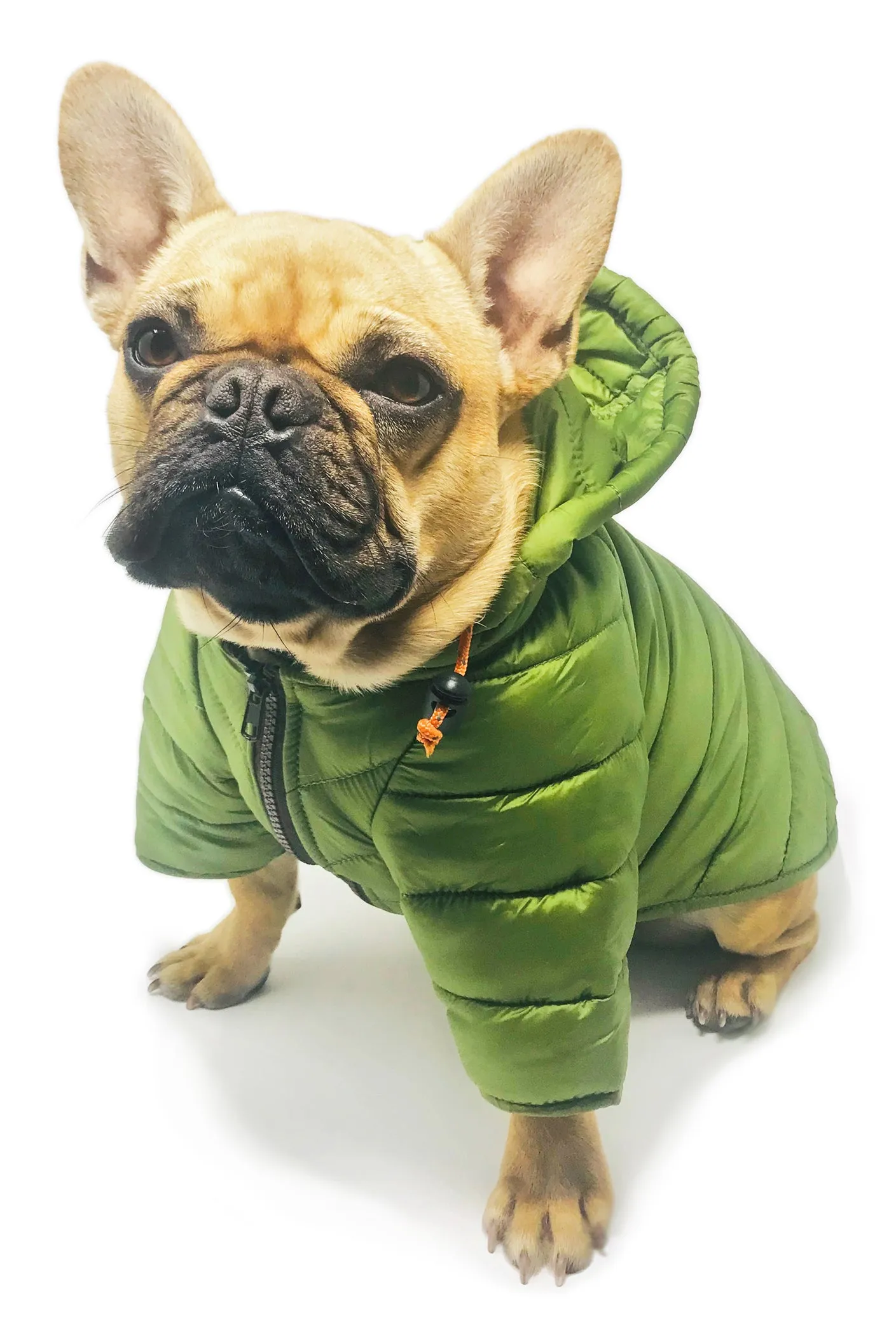 Puffer Jacket